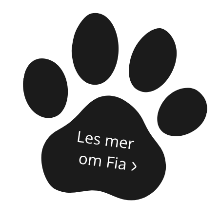 uten navn (500 x 500 px) (250 x 250 px) (11)