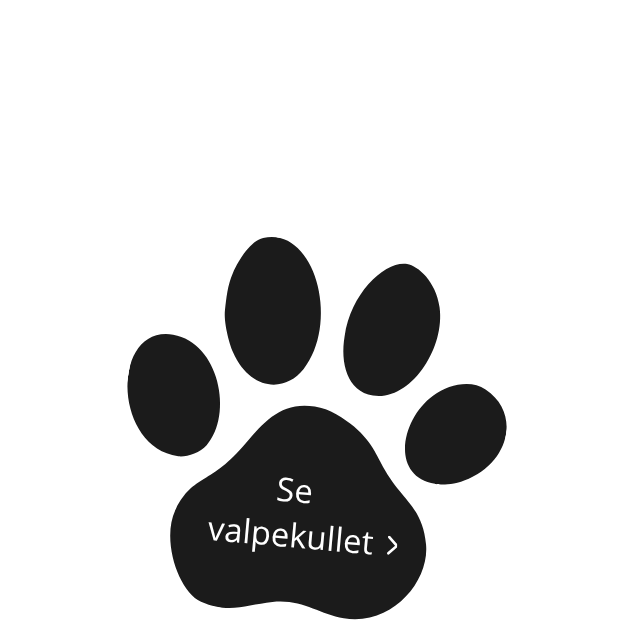 uten navn (500 x 500 px) (250 x 250 px) (8)